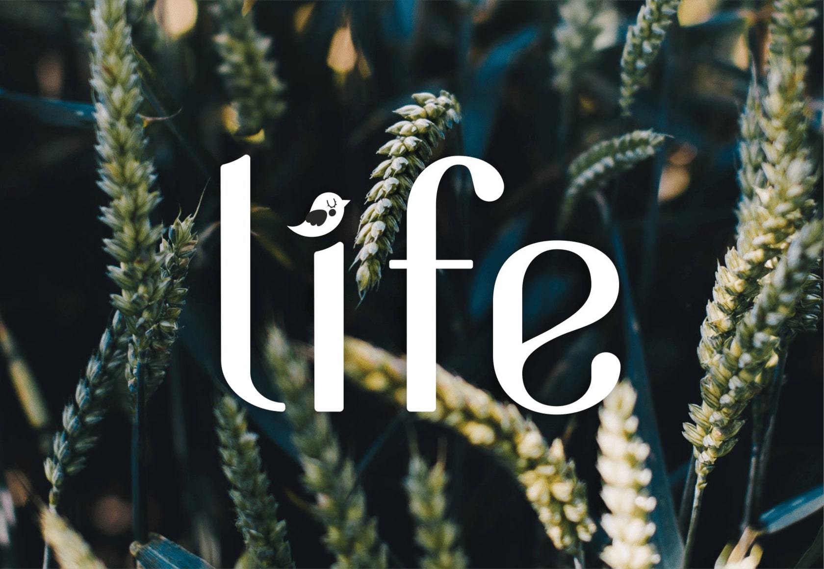 Life is Travel - Журнал о путешествиях