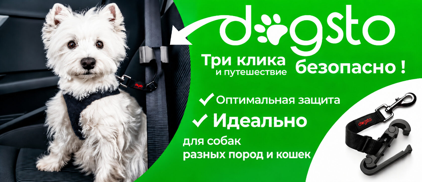 Dogsto — три клика и путешествие безопасно