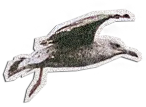  Конференция " Языки психоанализа" 