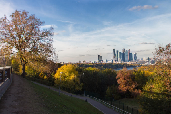 Проект добрый город москва