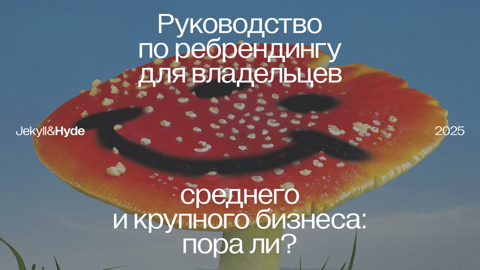 Ребрендинг среднего и крупного бизнеса