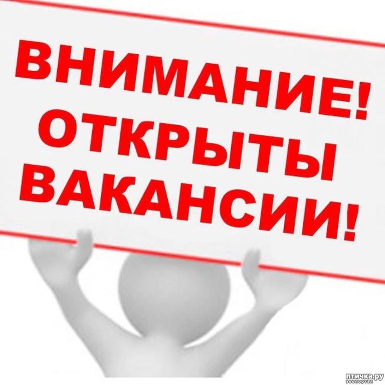 Вакансии