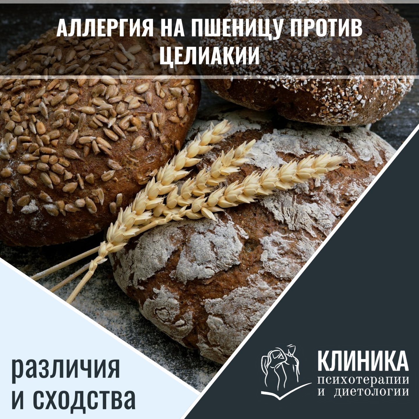 Аллергия на пшеницу против целиакии: различия и сходства