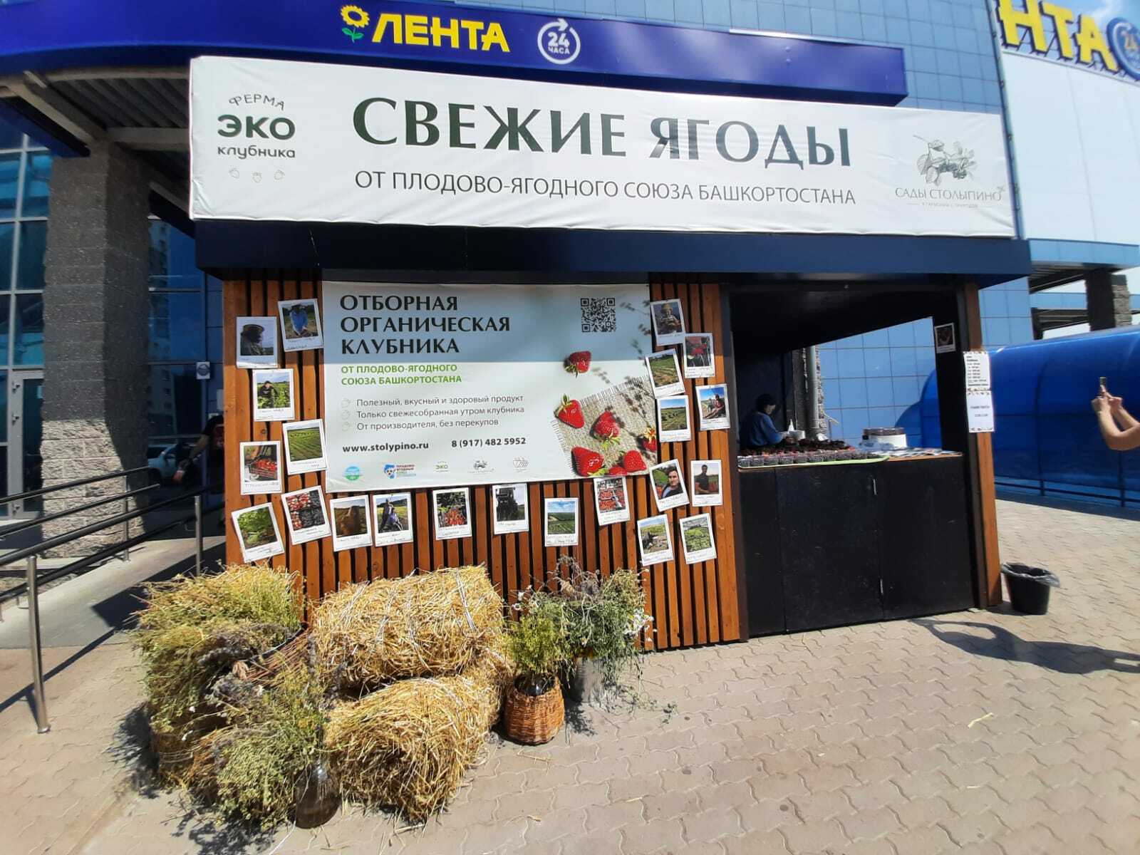 Проект продукт башкортостана