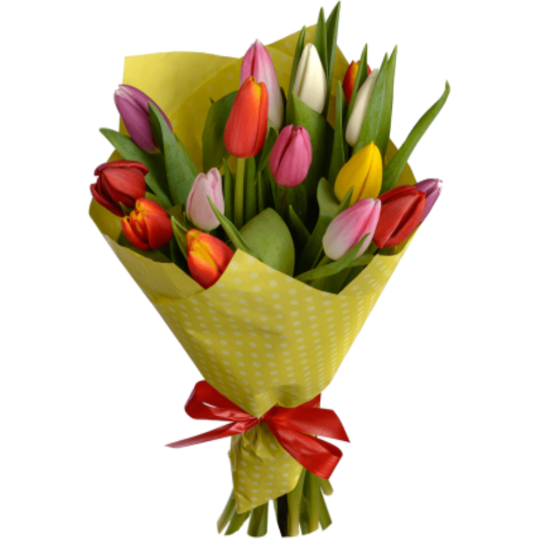 Упаковка тюльпанов. Упаковка тюльпанов. Букет тюльпанов в упаковке. Букет 15 тюльпанов микс. 15 тюльпанов букет.
