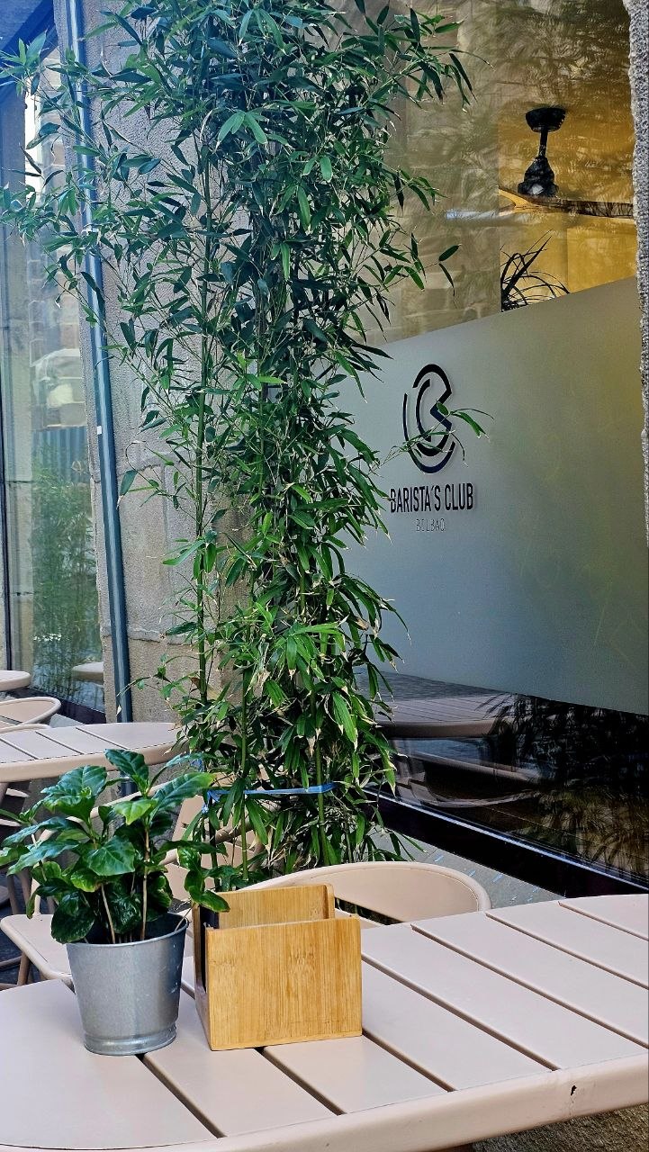Entrada y terraza de Baristas Club