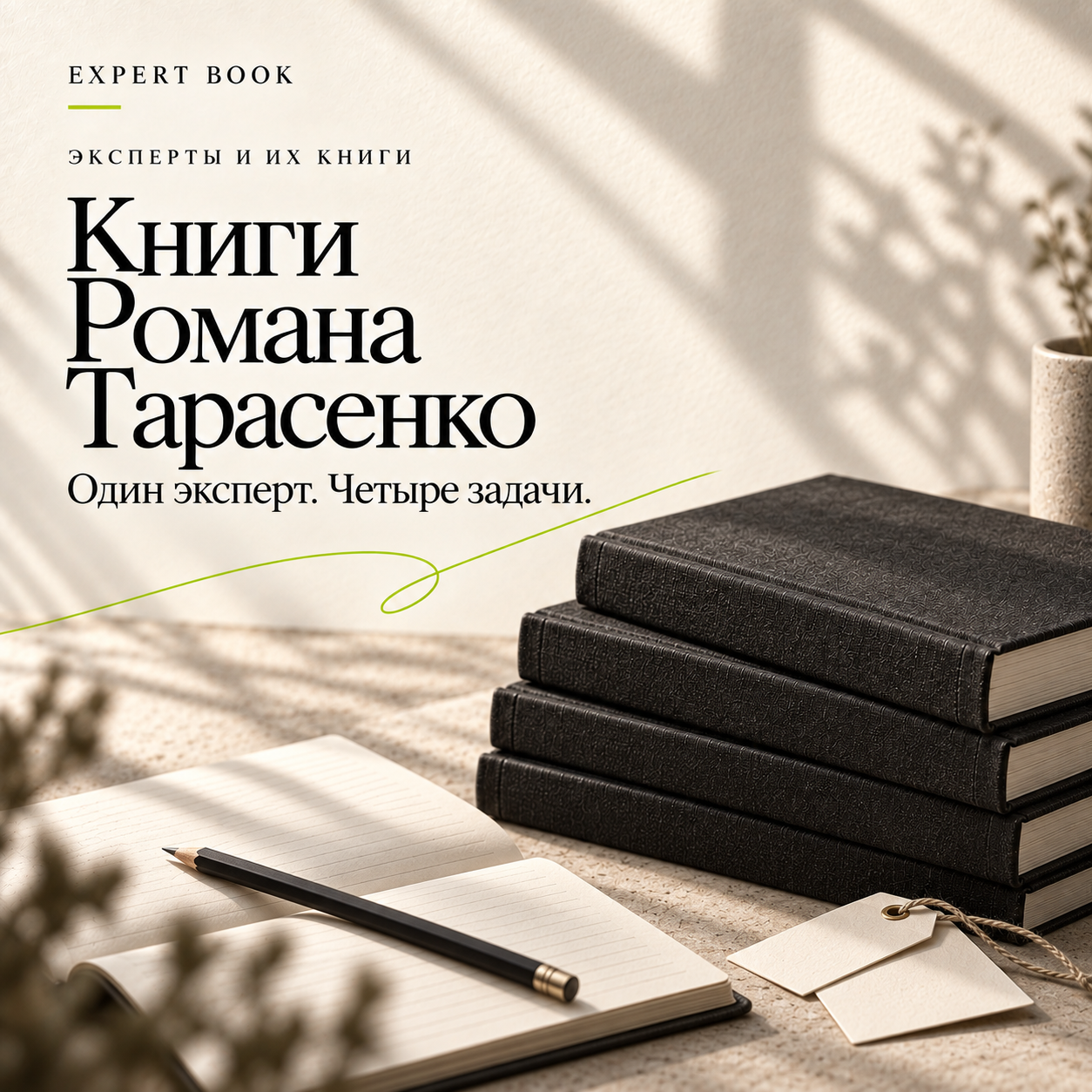 Книги Романа Тарасенко — один эксперт, четыре задачи. Обложка разбора Expert Book
