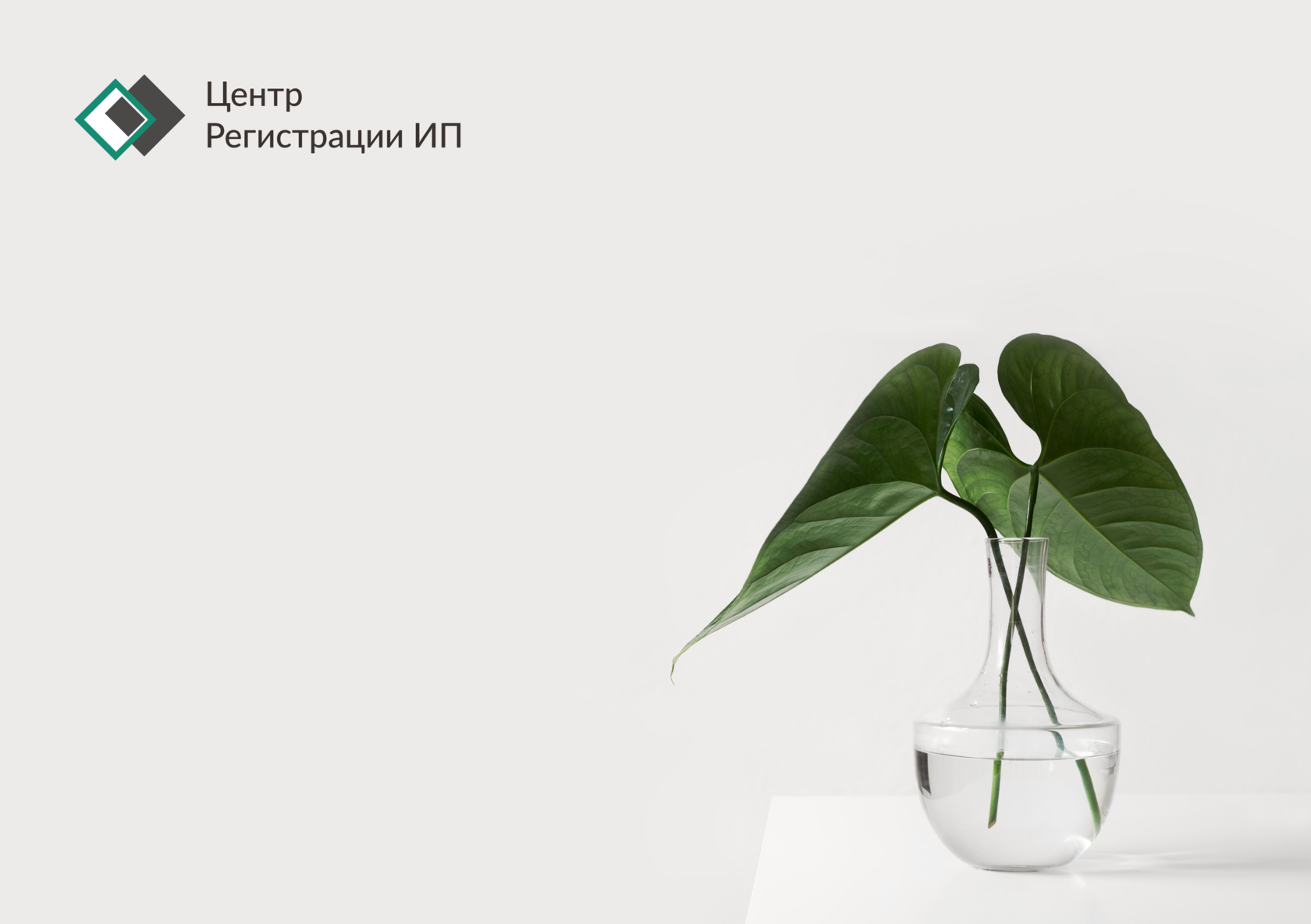 Регистрация индивидуального предпринимателя с нуля | Открыть ИП под ключ