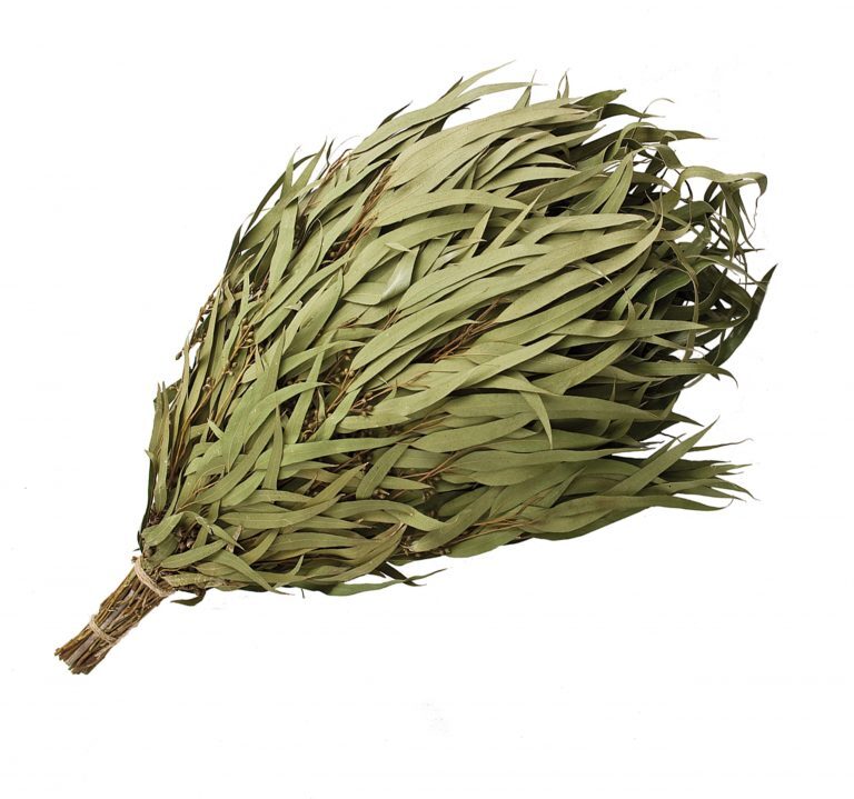 Эвкалиптовый веник: аромат и польза для дыхательных путей