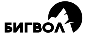 website icon