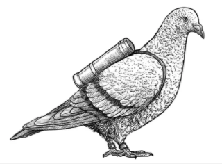 Повысим влияние в мессенджерах