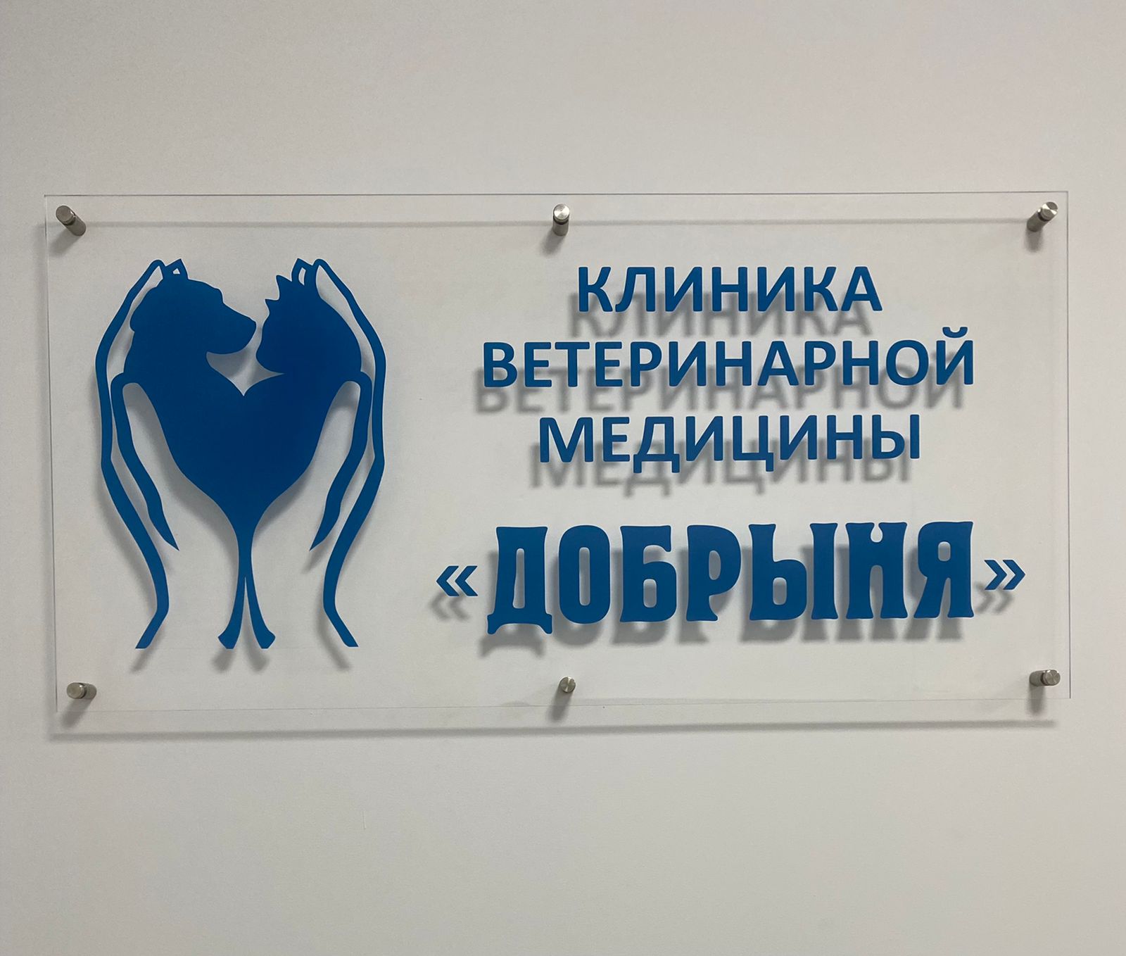 Главная