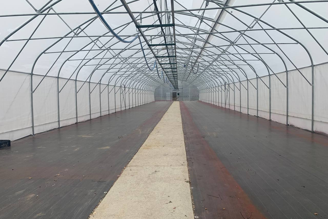 защита растений от вредителей