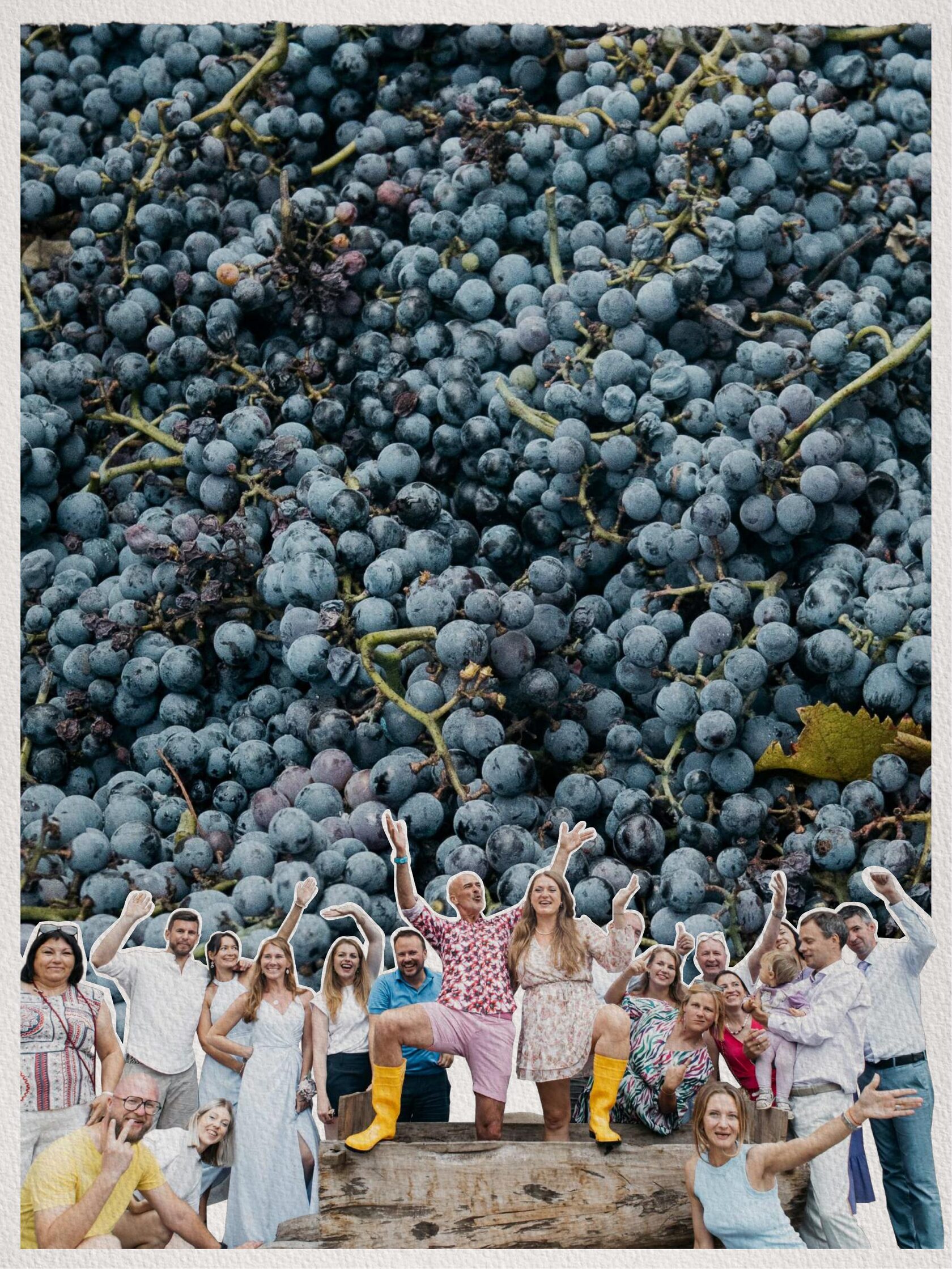 Слайд презентации 22