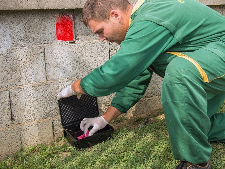 приманочный контейнер для дератизации