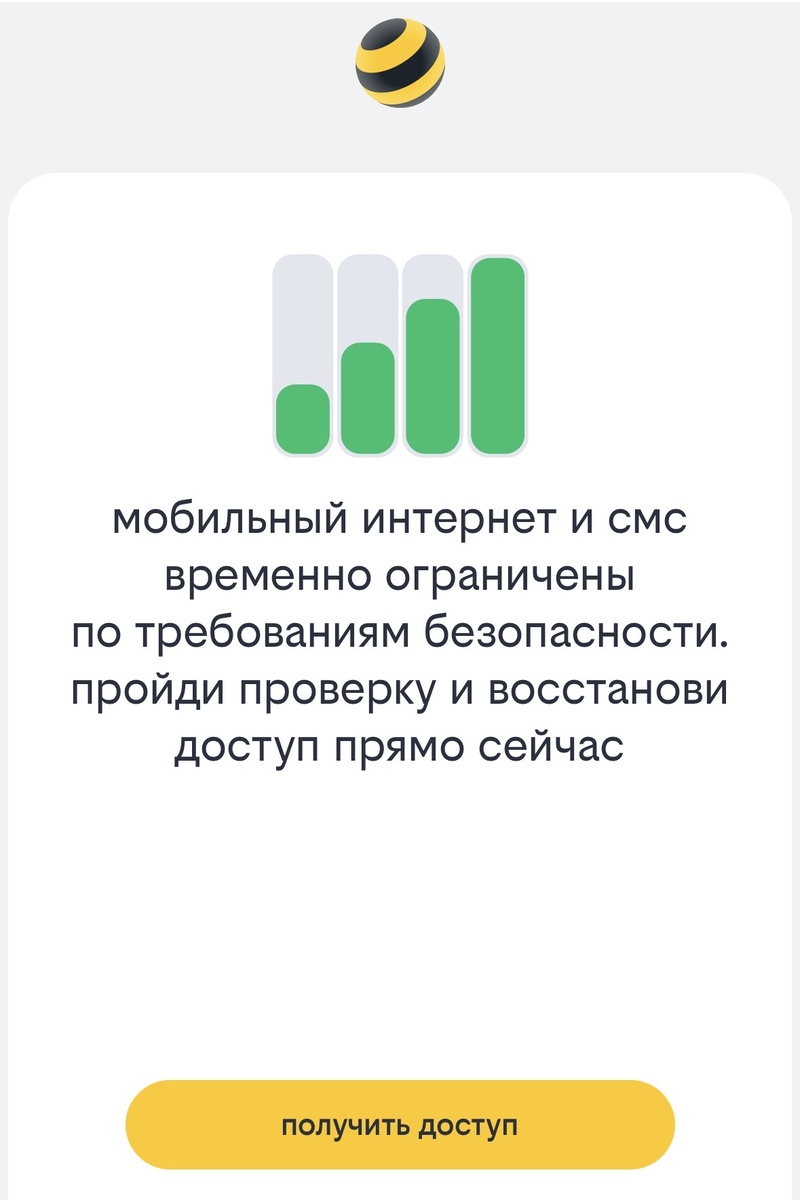 Снятие ограничений и блокировки мобильного интернета на SIM-карте Билайн