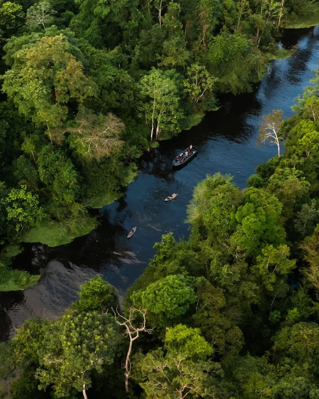 Экспедиции в мир Амазонии