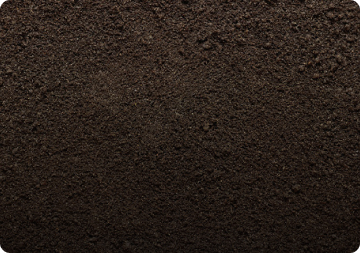 Купить грунт