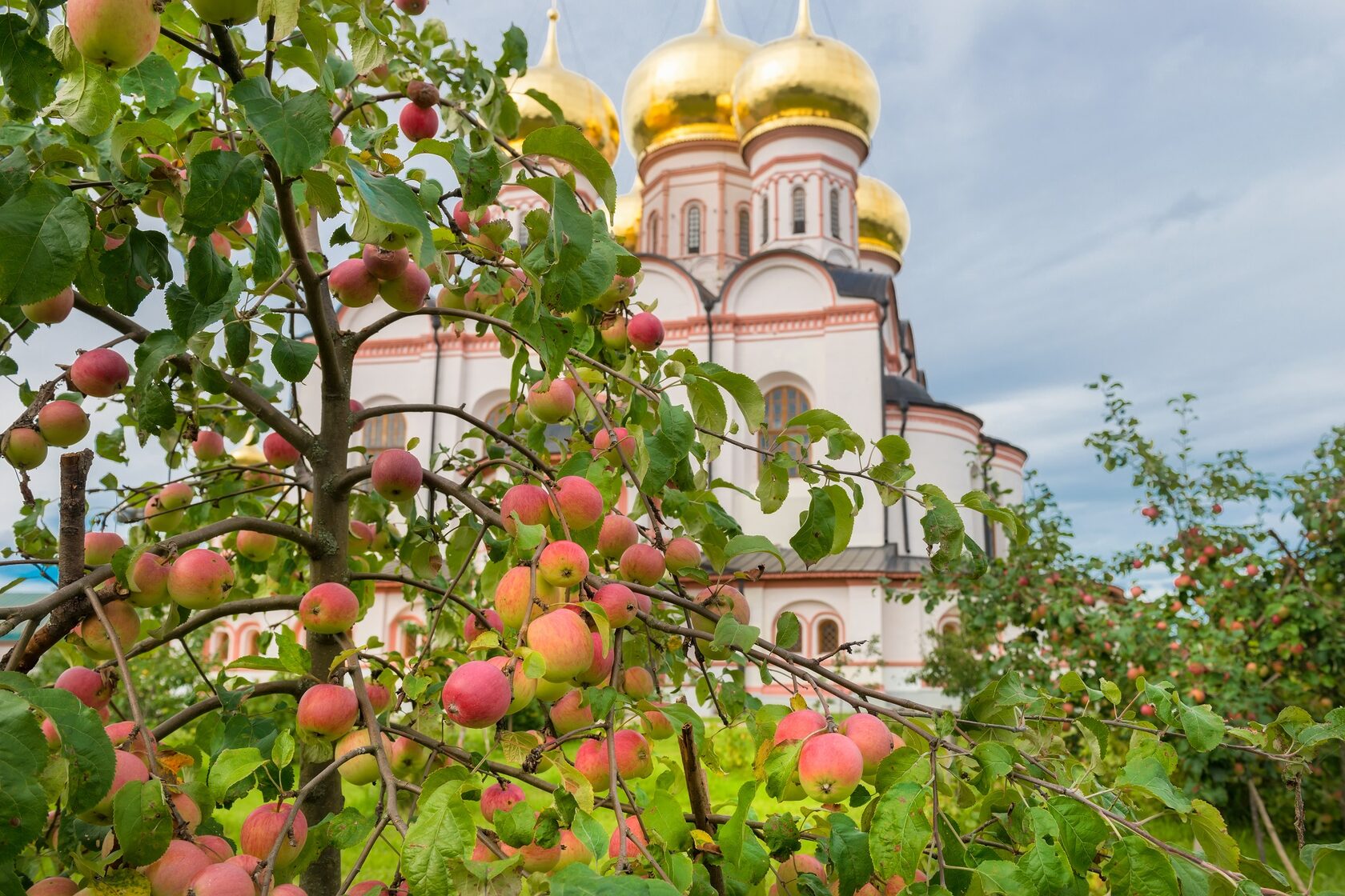 Яблочный Спас в Суздале