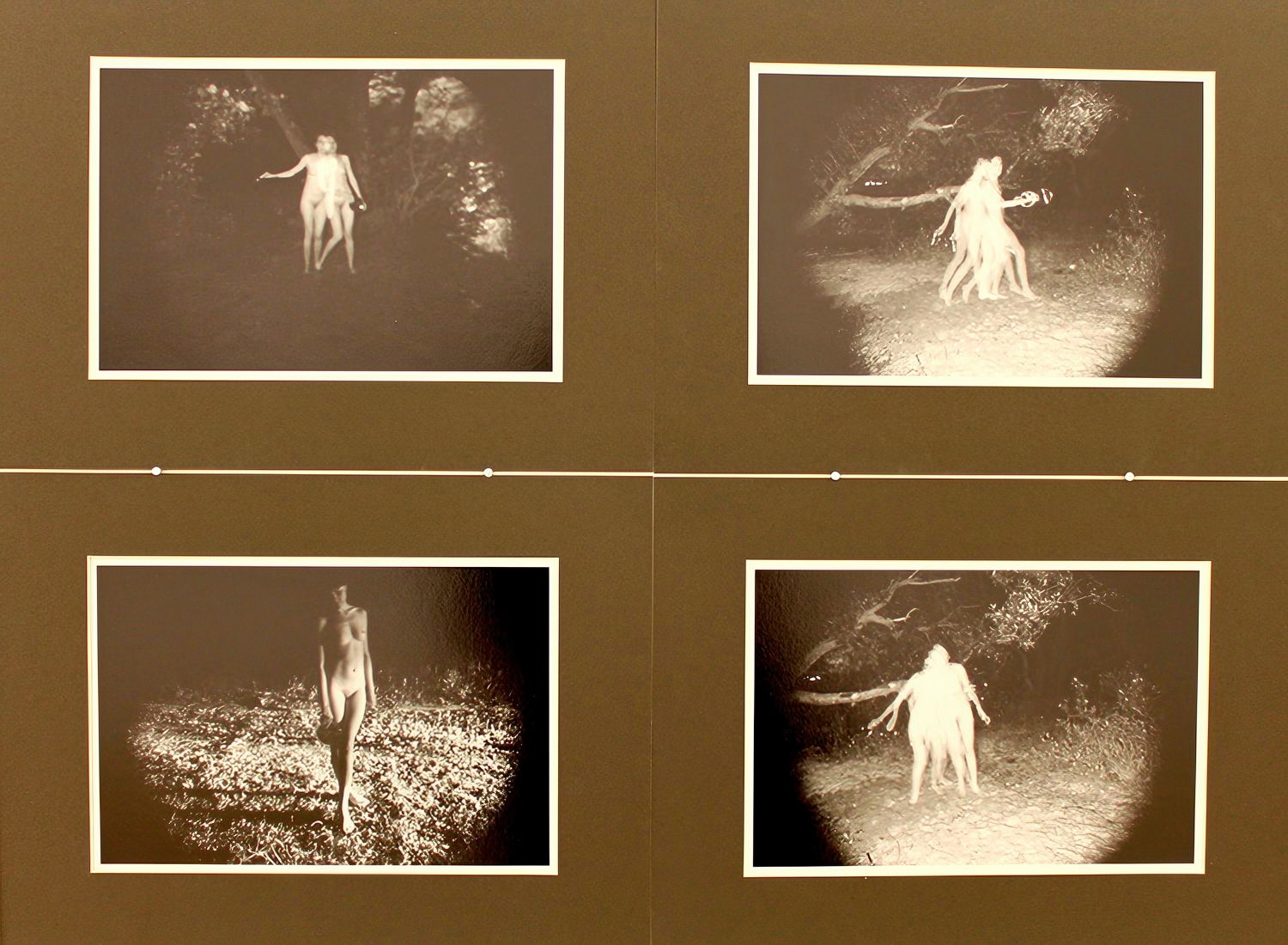 Фрагмент серыі Андрэя Карачуна «Некаторыя практыкі асэнсавання цела» / выстава «Anatomia. Ідэальнае цела», Менск 2015