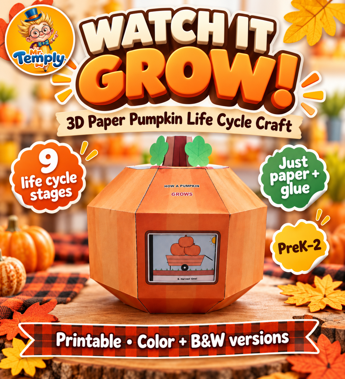 3D paper pumpkin life cycle craft with a sliding picture window, printable for K-3