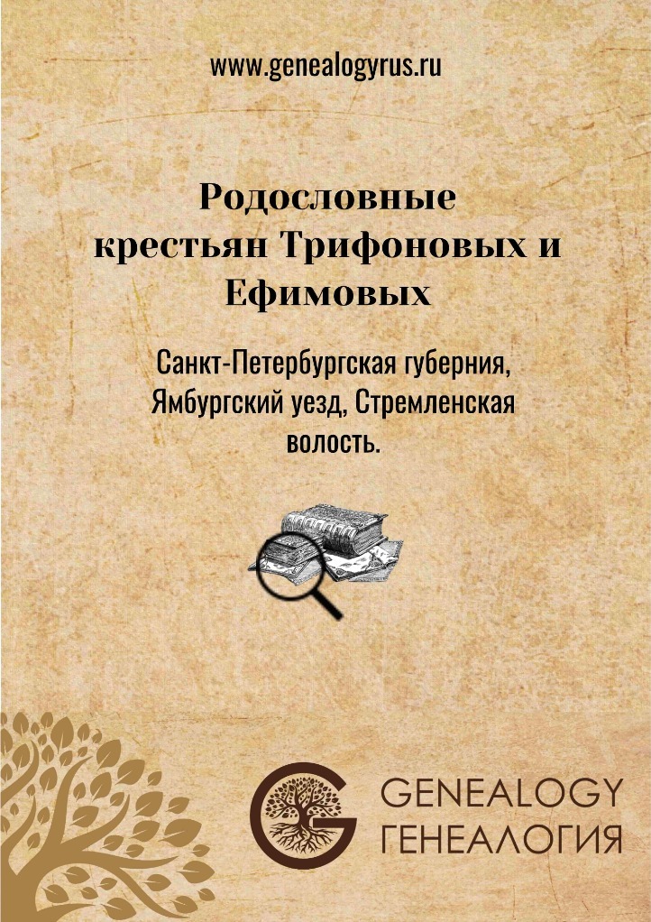 Генеалогическое исследование Трифоновы Ефимовы Ямбургский уезд
