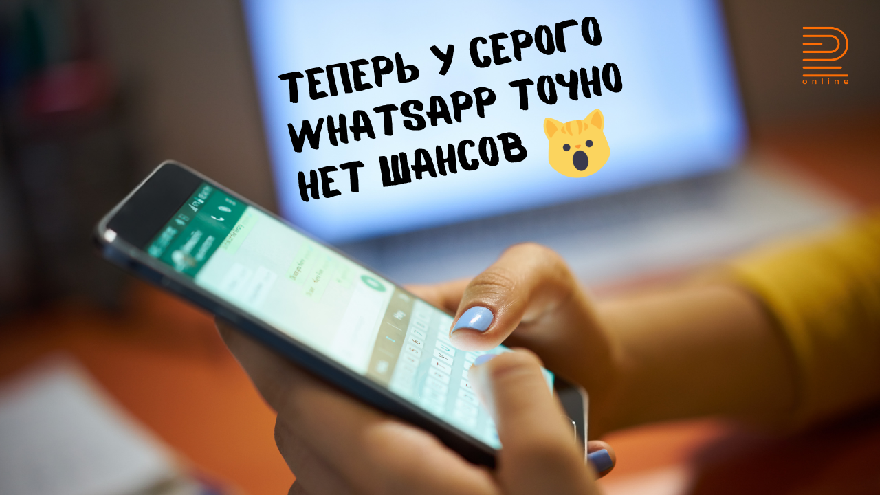 10 кнопок в сообщениях WhatsApp! Вы ждали?