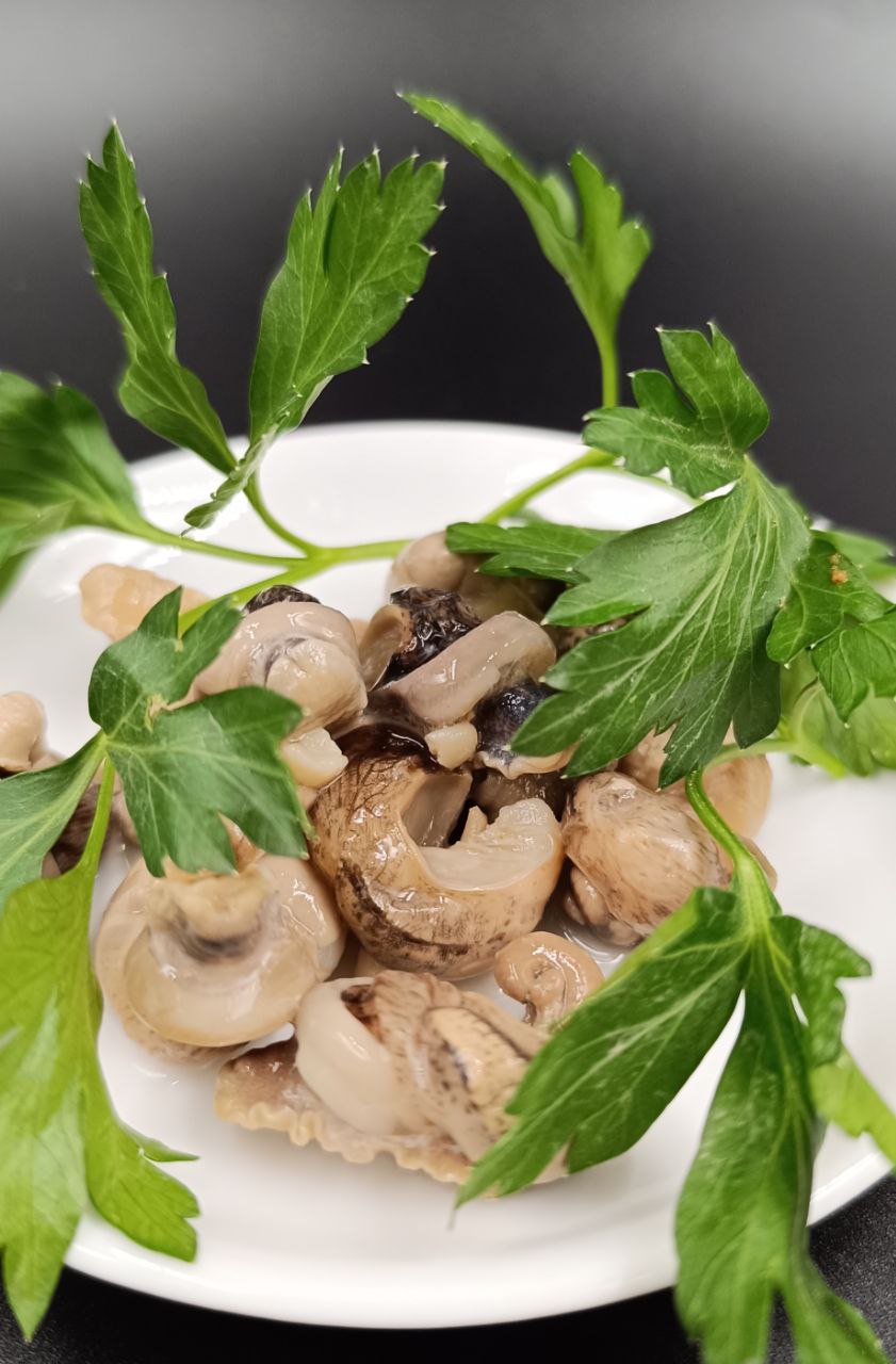 Helix Aspersa Muller, Helix Aspersa Muller купить, Helix Aspersa Muller для еды, Helix Aspersa Muller улитка, улитка Helix Aspersa Muller, Helix Aspersa Muller в подмосковье, улитки в подмосковье, купить улитку в Москве, виноградные улитки в подмосковье, Helix, Aspersa, Muller, Хеликс, Асперса, Мюллер, купить съедобную улитку, где лучше всего пробовать улитку, где лучше всего попробовать улитку, купить улитку для еды, эскарго, чесночное масло, дип, еликатес, органический, фермерский, по-бургундски, по-версальски, маринованные, по-грузински, escargots de Bourgogne, афродизиак, диетический, эскарготьерка, эскарготница, морепродукты