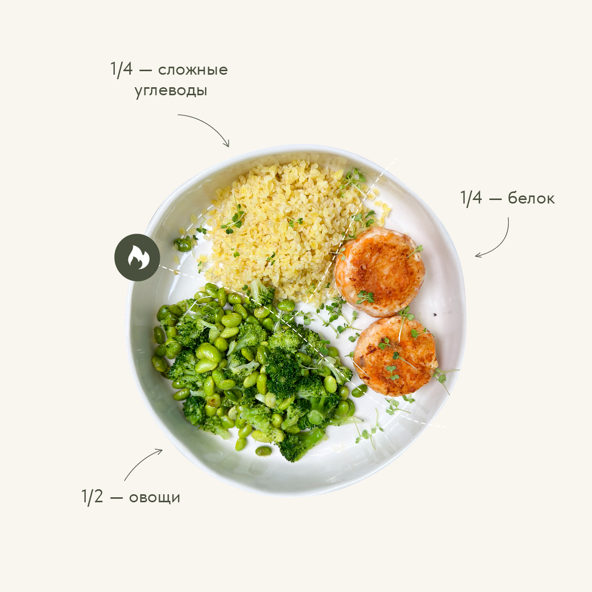 Пример, как делить тарелку на составляющие по методу тарелки