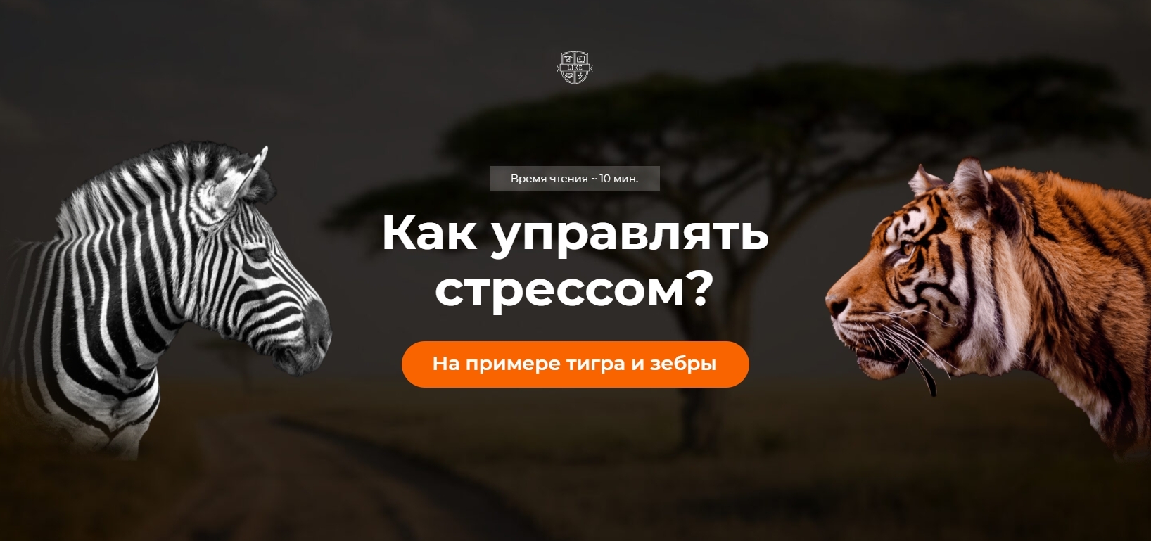 Как управлять стрессом?