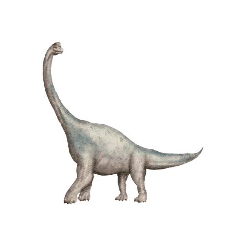 Diplodocus