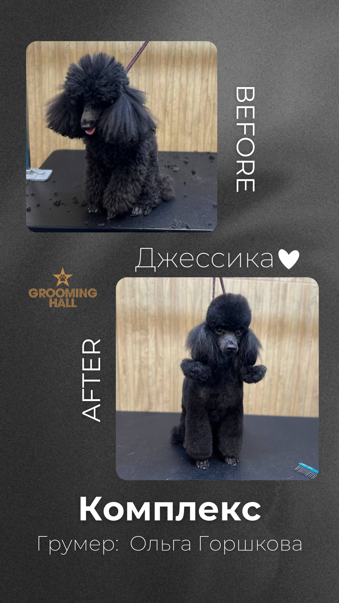 Grooming Hall | Груминг-салон для ваших питомцев на Полежаевской