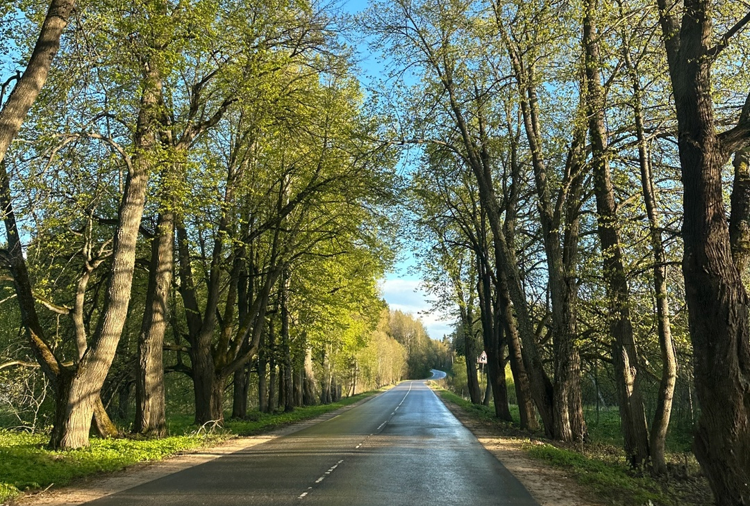Дорога в SUP-Ruza: отдых в Подмосковье