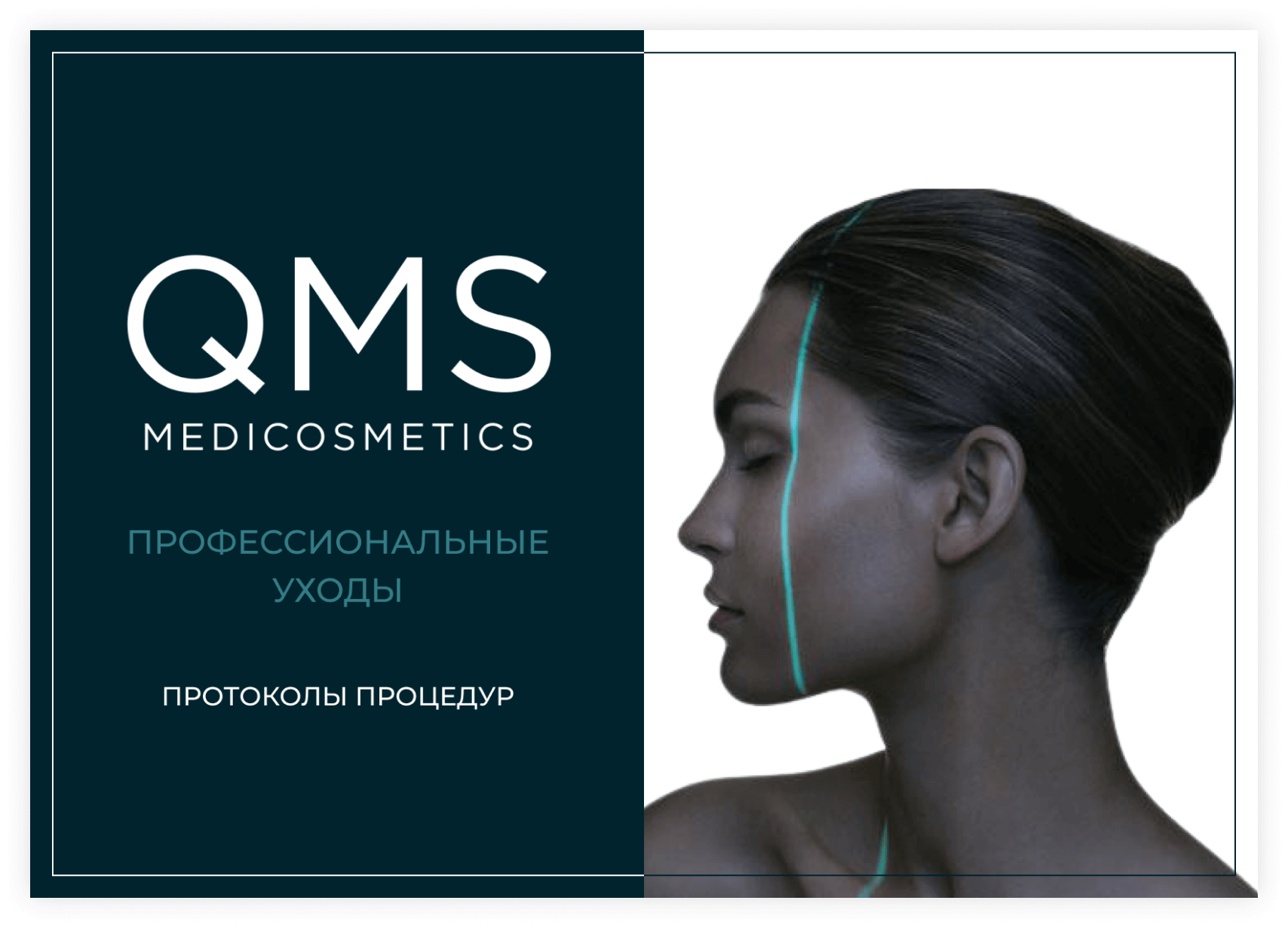 Студия веб-дизайна Шеиной Александры. Разработка сайта на тильде. Сделать сайт на тильде. Заказать сайт на тильде.