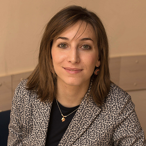 Державинский Институт