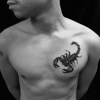 Тату скорпион в студии Маруха – значение татуировки со скорпионом, подойдет ли вам?
