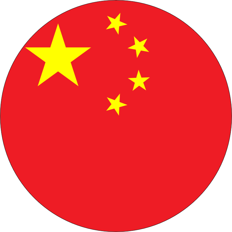 中文（中国）[Simplified Chinese]