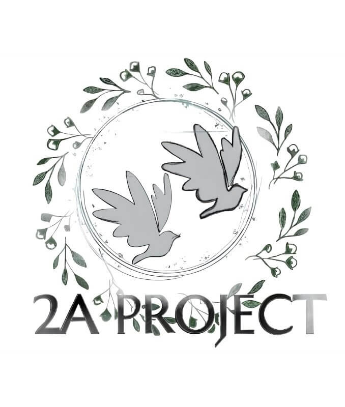 2A Project