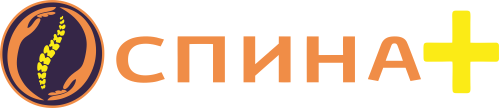 Спина+