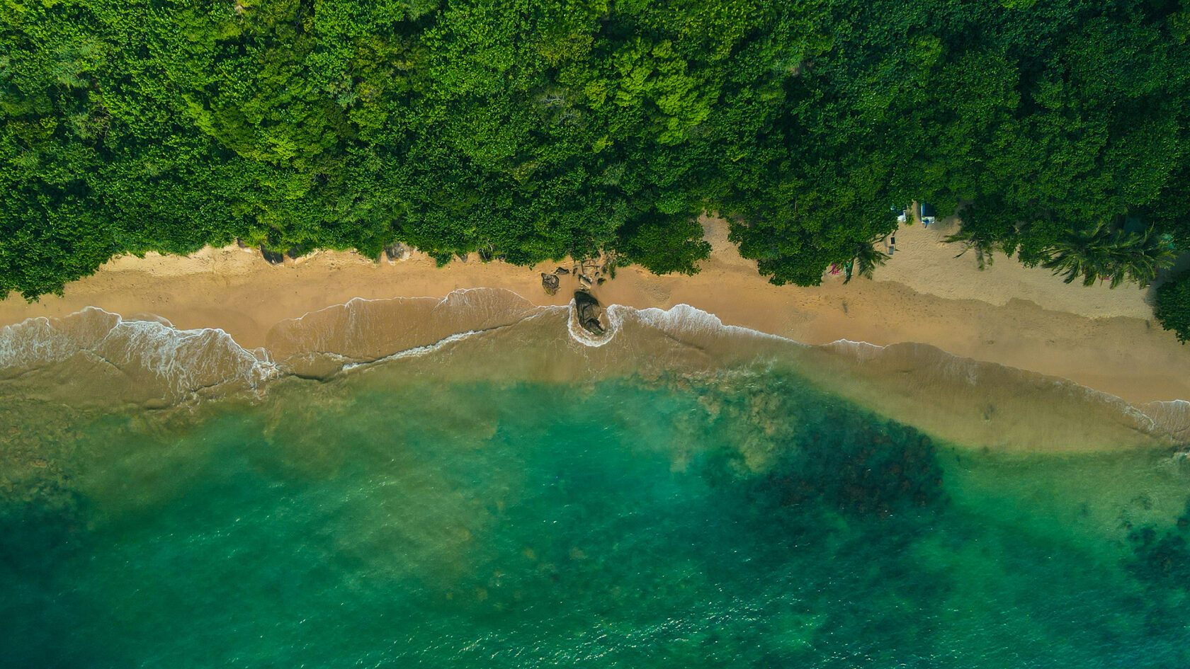 Лес Румассала. Шри-Ланка