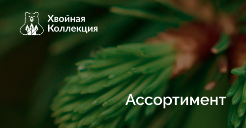 Хвойная коллекция питомник. Экоплант питомник растений. Питомник коллекция хвойных растений. Хвойная коллекция отзывы. Хвойная коллекция отзывы.
