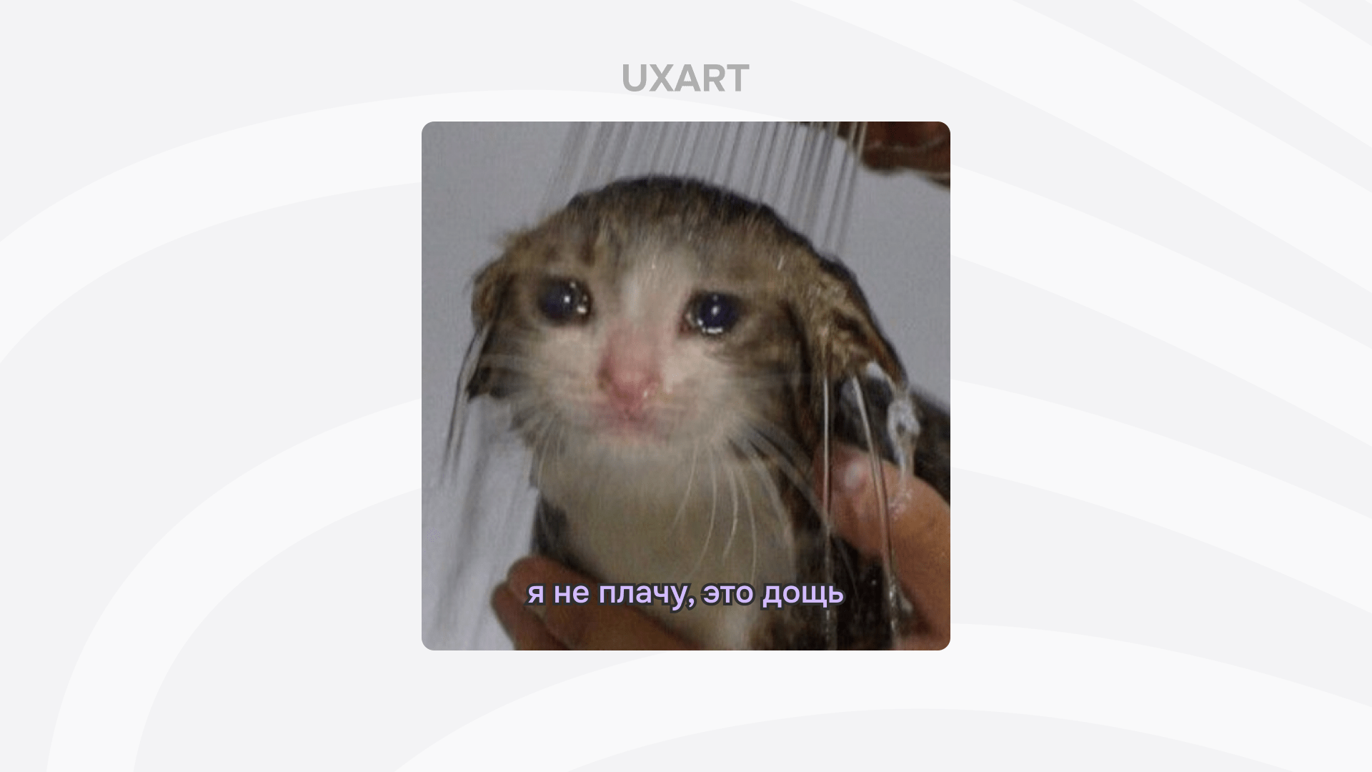 Спокойной ночи, дизайнеры. Часть 4: Как устроиться UX/UI дизайнером и не потратить последние нервы