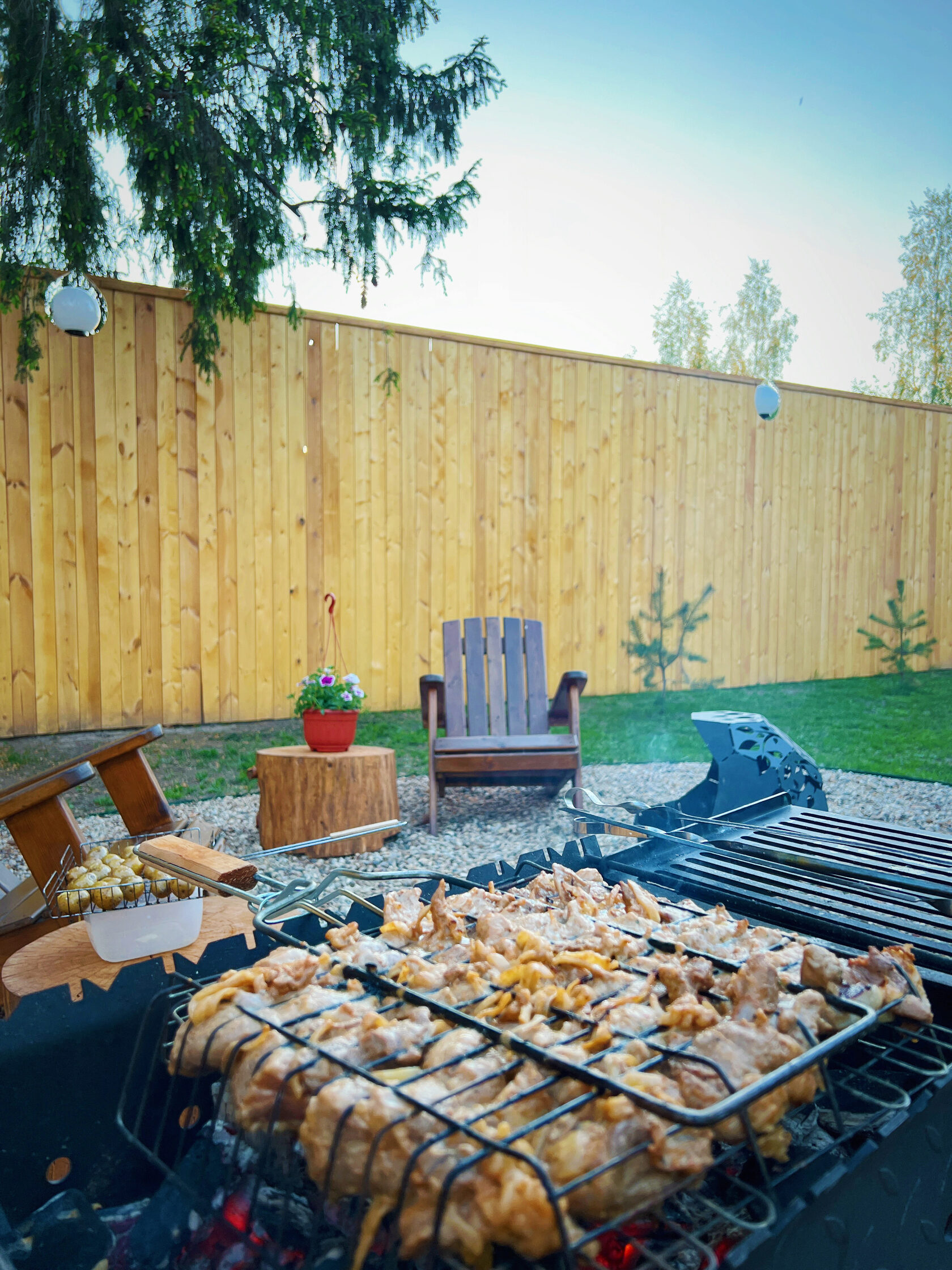 AURA Gold — фото 5