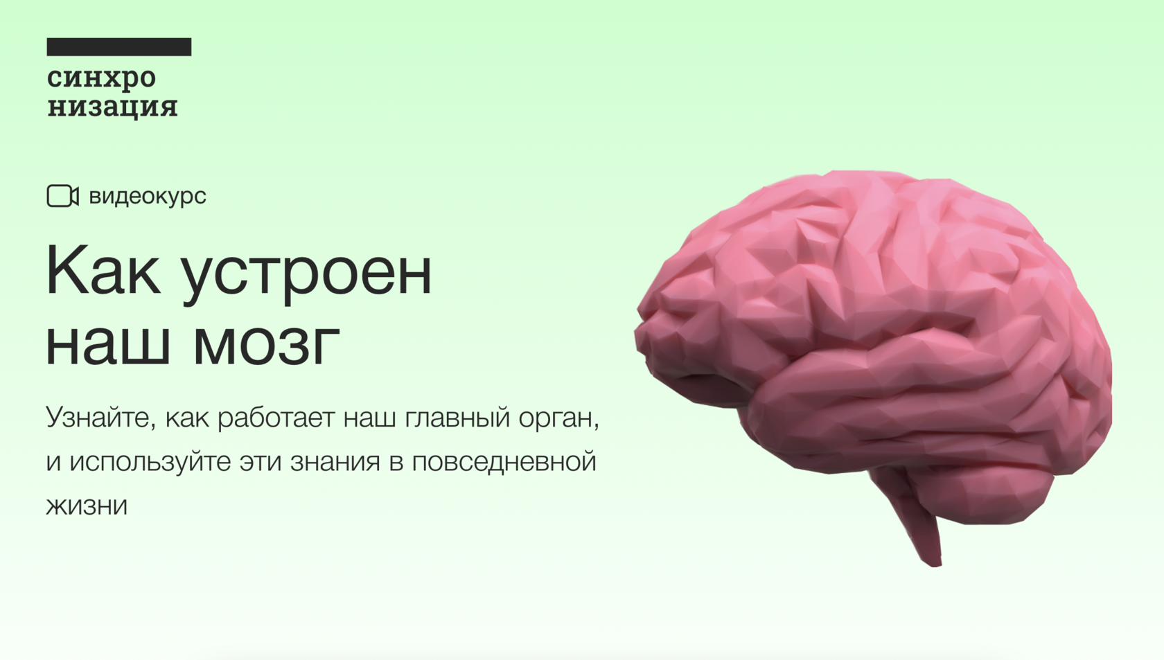 Головной мозг курс. Как устроен мозг. Наш мозг. Дубынин мозг. Как устроен наш мозг.