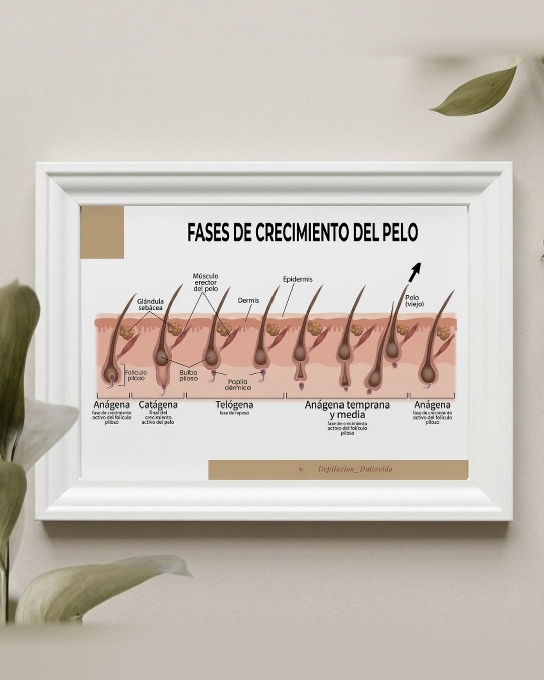 Póster en español