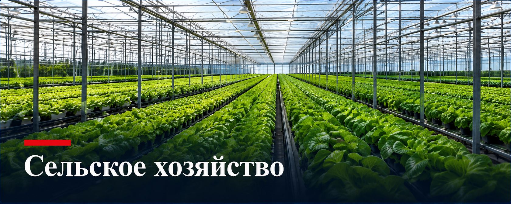 Сельское хозяйство