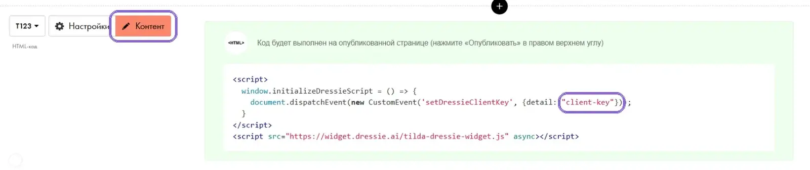 Кнопка «Контент» у блока с кодом и значение client-key в коде
