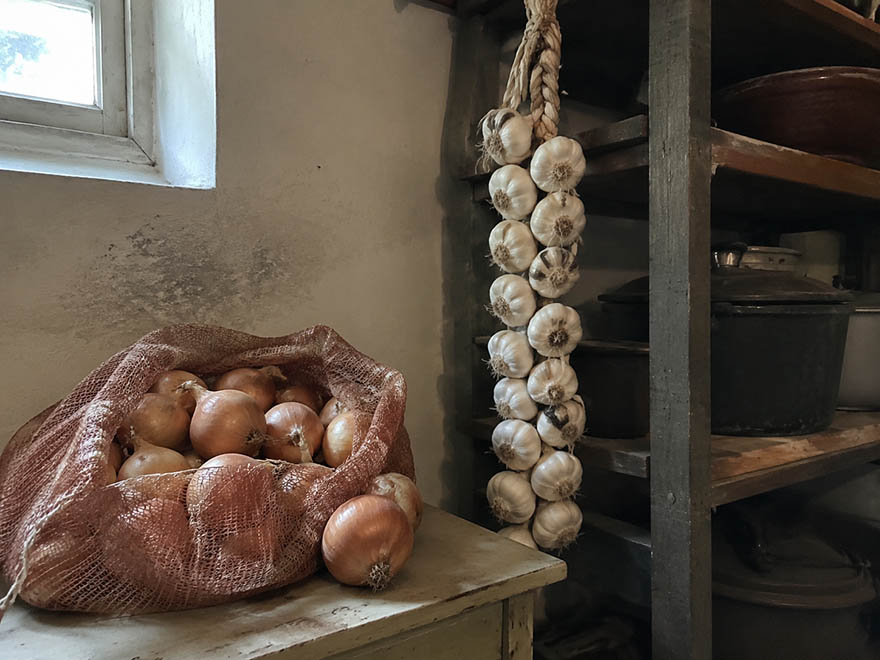 Cured onions in a mesh bag and a garlic braid in cool dry storage