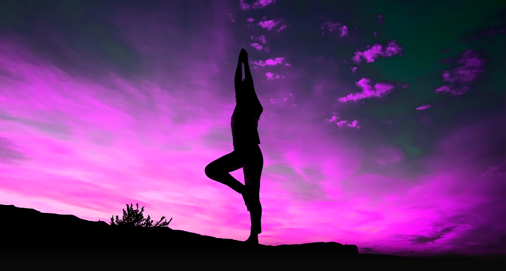 Йога, девушка в позе дерева