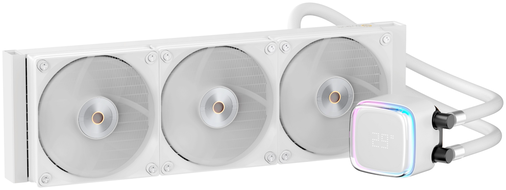 Ocypus Lota A40